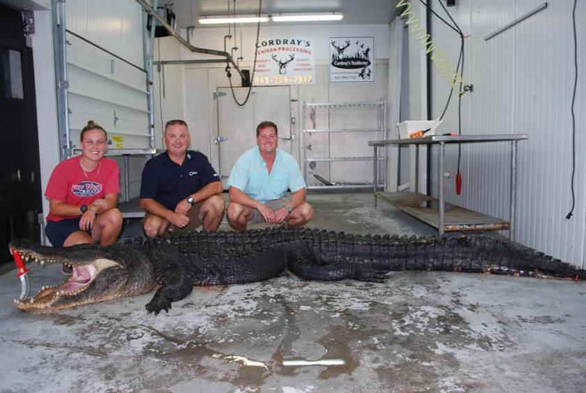 13-ft-gator-600-lbs